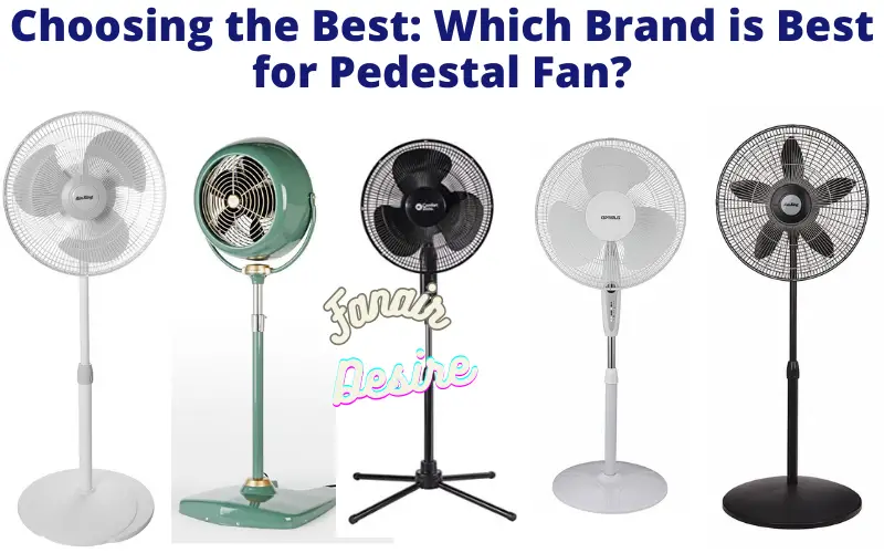 Which Brand is Best for Pedestal Fan?