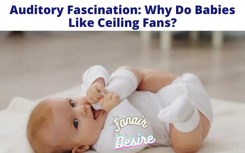 Why Do Babies Like Ceiling Fans?